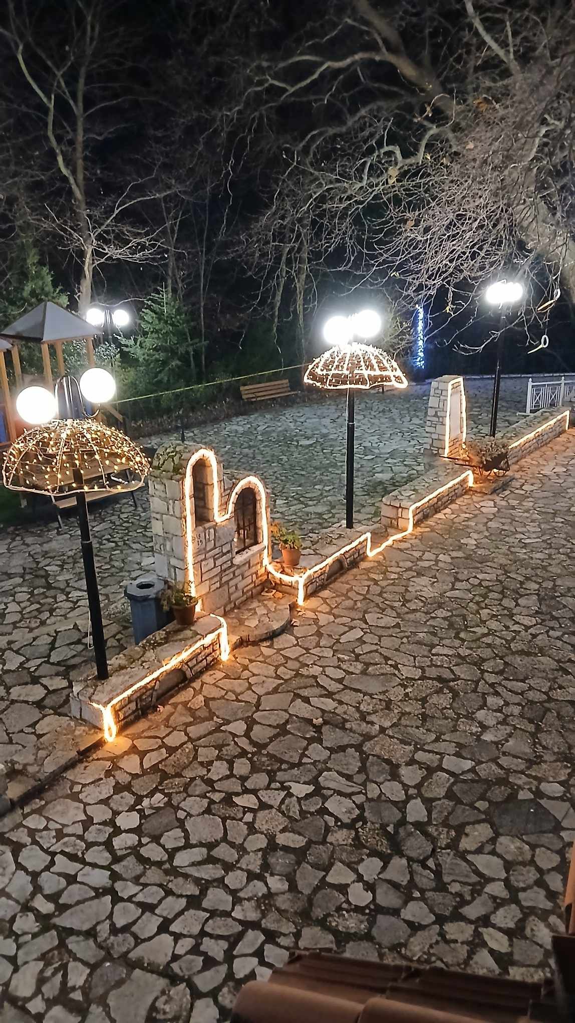 498153375_1105712454926653_5750366678924660948_n